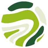 Logo Footer